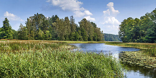 Mitteleuropäische Wald- und Moorlandschaft